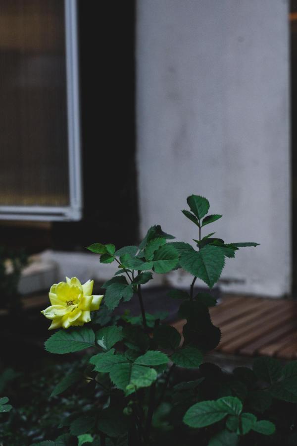 Viva La Vida - Jongno Hanok Private House Seoul Exterior photo